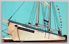 Tarpon Springs Florida Spongeorama Ship Fishermen People Vintage Unused Postcard picture