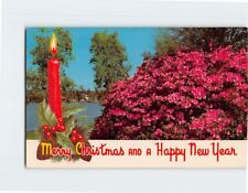 Postcard Merry Christmas and a Happy New Year Florida Greeting Card Florida USA picture
