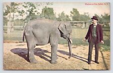 c1905~Baby Elephant~Man~Buffalo Zoo~New York NY~Antique VTG Postcard picture