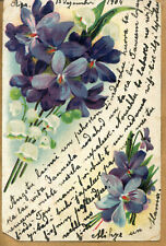 Latvia 1904 Greetings Postcard picture