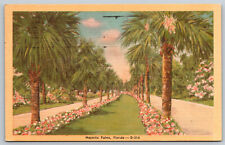 Postcard Majestic Palms St. Petersburg, FL H22 picture