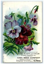 c1910's Seeds Plants Bulbs Poultry Supplies Des Moines Iowa IA Vintage Postcard picture