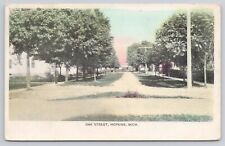 Hopkins Michigan MI Oak Street Tree-Lined Man and Child 1908 Antique Postcard picture