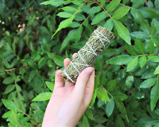 Cedar Sage Smudge Stick / Wand 3-4