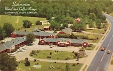 Birdseye View Summerton Motel & Coffee Shop South Carolina SC Chrome 1959 PC picture