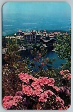 SCENIC VIEW LAKESIDE CITY WILDFLOWERS UNIDENTIFIED LOCATION VTG POSTCARD D-1  picture