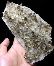 839g Tibet Himalayan Rare Elestial Smoky QUARTZ Crystal Point cluster #585 picture