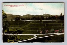 Pasadena CA-California, Terraced Lawn, Busch's Gardens, Vintage c1913 Postcard picture