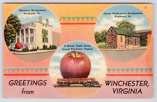 c1958 Greetings From Winchester Virginia Vtg VA Tri-View Large Apple Postcard picture