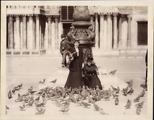 Italy, Venice, San Marco, Women Feeding Pigeons Vintage Albumen Print Print Print  picture