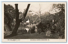 c1940's Botanical Gardens Melbourne Victoria Australia RPPC Photo Postcard picture