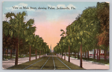 Main Street View, Palmetto Grove Jacksonville FL c1910s Postcard, Trolley Tracks picture
