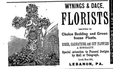 1887 WYNINGS & DACE FLORISTS ROSES CARNATIONS CUT FLOWERS LEBANON PA picture
