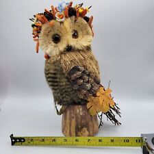 Sisal Harvest Barn Owl Large Feathers Pinecones Perched 12