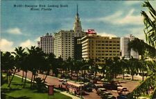 Vintage Postcard- Biscayne Blvd., Miami, FL. Early 1900s picture