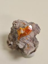 Wulfenite Red Cloud Mine Yuma AZ Mineral Specimen Gemstone  picture