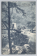 Buck Hill Gorge Near Pocono Pines Assembly Pennsylvania c1910 Antique Postcard picture