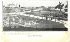 Brooklyn Eagle Coney Island Park UNUSED 1905 NYC  picture