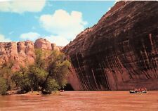 Yampa River Tiger Wall Dinosaur National Monument CO UT VTG Postcard Unposted  picture