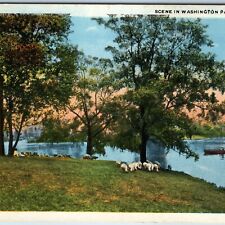 c1920s Chicago, IL Washington Park w/ Old Postcard Dealer Advertising Stamp A218 picture