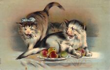 c.1907, Beautiful Embossed Cats, Three Fighting over Fruit, Old Postcard picture
