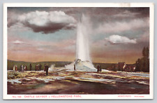 Castle Geyser Yellowstone National Park Haynes Postcard No. 129, Upper Basin picture