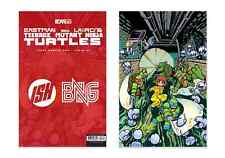 TMNT #2 Bryan Lee O'Malley Cover Color Mask Virgin Variant Comic /500 picture
