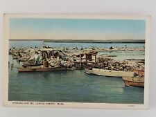 Postcard Opening Oysters Corpus Christi Texas Boats picture