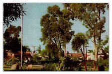 Vintage 1960s - Old Town View - San Diego, California Postcard (UnPosted) picture