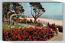 Santa Monica CA Palisades Park Bluff's Edge California c1953 Vintage Postcard picture