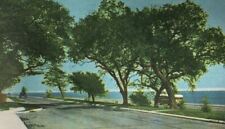1942 Four Lane Highway Mississippi Gulf Coast Postcard picture