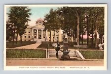 Monticello NY-New York, Sullivan County Courthouse & Park, Vintage Postcard picture