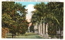 Postcard FL Fort Myers Royal Palm Avenue Edison Grounds Vintage PC J3750 picture