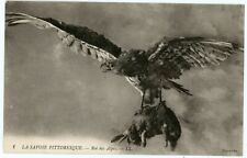 Postcard - Savoy, France, Eagle carrying Rabbit, King of the Alps - C. 1910 picture