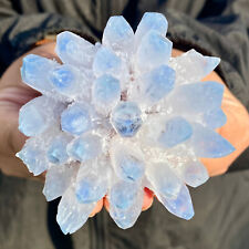 310G New Find Blue Phantom Quartz Crystal Cluster Mineral Specimen Healing. picture