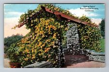 CA-California, Gold Ophir, Rose Covered Pergola, Vintage Postcard picture