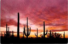 Postcard Sundown On The Desert Arizona [bv] picture