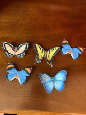 Rare colorful butterfly magnets 1999-2007 (species on inside of wing)  picture