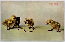 early birds chicks worm vintage postcard picture