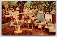 1950s~Childrens Fairyland~Theme Park~SUGAR PLUM TREE~Oakland CA~Vintage Postcard picture