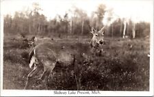 RPPC - Deer, Skidway Lake Prescott, Michigan - Real Photo Postcard picture