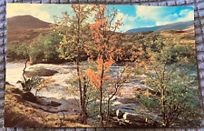 Vintage Postcard - Glen Orchy in the Caledonian Forest, Scotland - UNPOSTED picture