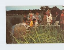 Postcard Field Trip Brewster Museum of Natural History Massachusetts USA picture