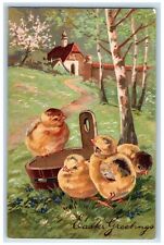 PFB Easter Postcard Greetings Baby Chicks Embossed Oxford Maine ME c1910's picture