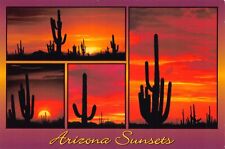 Arizona Sunsets With Red Sky & Giant Saguaro Cactus 6x4 Postcard CP365 picture