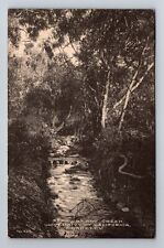 Berkeley CA-California, Strawberry Creek, Antique, Vintage Souvenir Postcard picture
