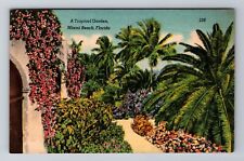 Miami Beach FL-Florida, A Beautiful Tropical Garden, Antique Vintage Postcard picture