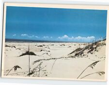 Postcard Beautiful Sand Dunes Gulf Coast of Texas USA picture