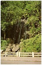 Beautiful Waterfall on the Way to El Yunque Rainforest Vintage Postcard WOB picture