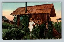 WA-Washington, Cabin In Cedar Stump Vintage Souvenir Postcard picture